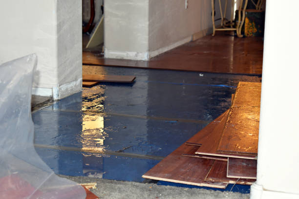 Professional Basement Flood Cleanup technician working in Daisetta, TX
